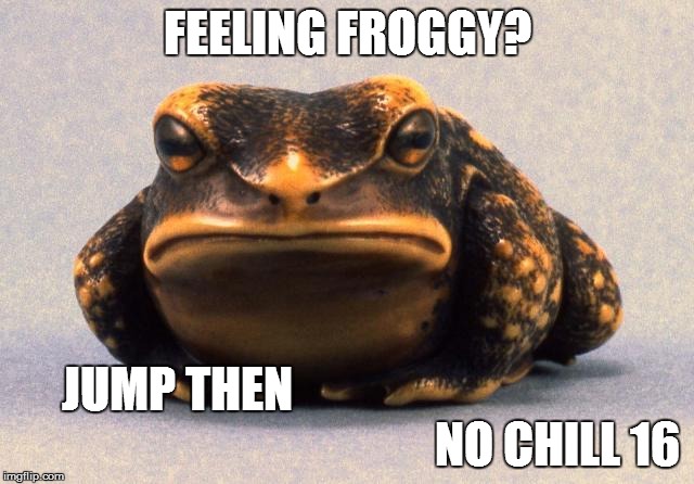 feeling frogy | FEELING FROGGY? JUMP THEN                                                                              NO CHILL 16 | image tagged in frog,angry | made w/ Imgflip meme maker