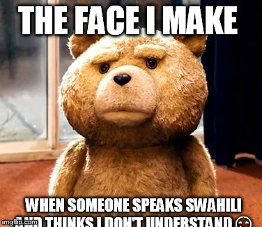 TED | THE FACE I MAKE; WHEN SOMEONE SPEAKS SWAHILI AND THINKS I DON'T UNDERSTAND 😏 | image tagged in memes,ted | made w/ Imgflip meme maker