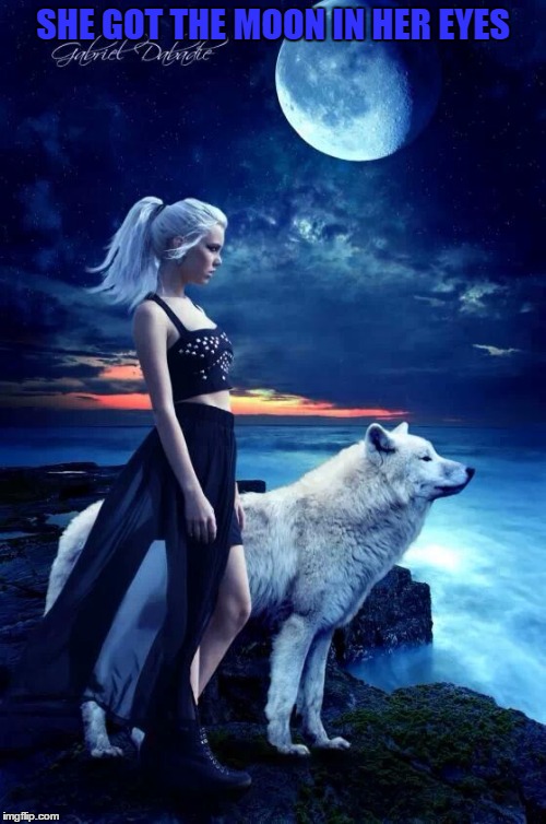 Moon Mystress | SHE GOT THE MOON IN HER EYES | image tagged in wolf,moon | made w/ Imgflip meme maker