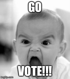 Angry Baby Meme | GO; VOTE!!! | image tagged in memes,angry baby | made w/ Imgflip meme maker