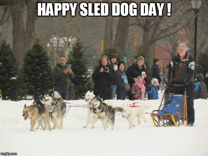HAPPY SLED DOG DAY ! | image tagged in brookfield | made w/ Imgflip meme maker