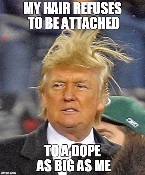 Donald Trumph hair | MY HAIR REFUSES TO BE ATTACHED; TO A DOPE AS BIG AS ME | image tagged in donald trumph hair | made w/ Imgflip meme maker