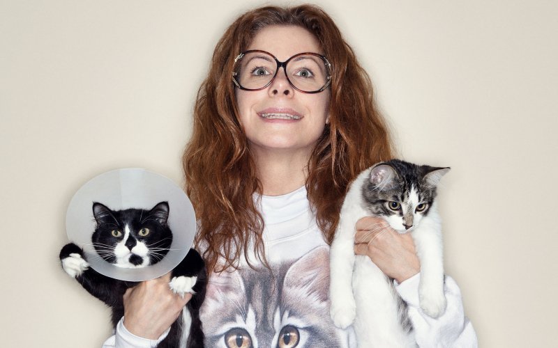 High Quality Crazy Cat Lady Blank Meme Template