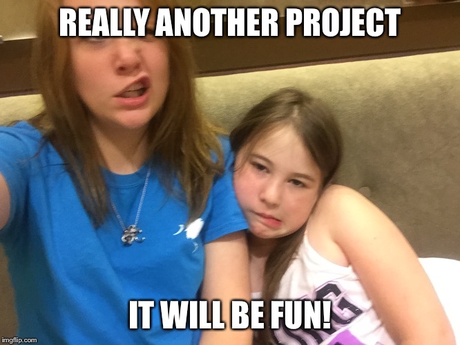 REALLY ANOTHER PROJECT; IT WILL BE FUN! | image tagged in paula | made w/ Imgflip meme maker
