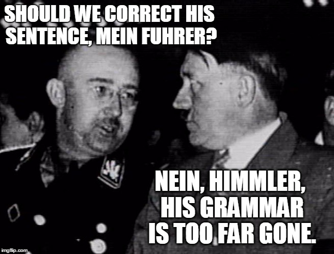 Grammar Nazis Himmler and Hitler | SHOULD WE CORRECT HIS SENTENCE, MEIN FUHRER? NEIN, HIMMLER, HIS GRAMMAR IS TOO FAR GONE. | image tagged in grammar nazis himmler and hitler | made w/ Imgflip meme maker
