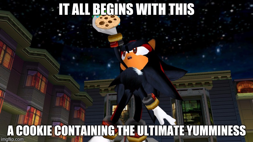 it all begins with this | IT ALL BEGINS WITH THIS; A COOKIE CONTAINING THE ULTIMATE YUMMINESS | image tagged in it all begins with this,shadow the hedgehog,cookies,sonic adventure 2 | made w/ Imgflip meme maker