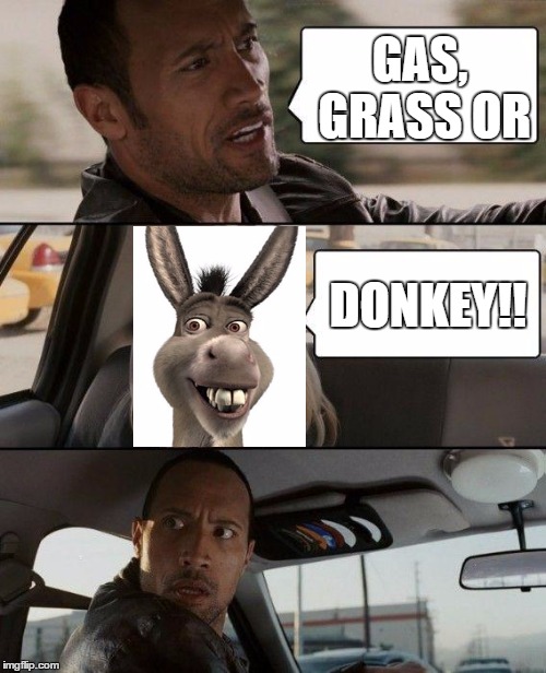 I guess he's riding for free | GAS, GRASS OR; DONKEY!! | image tagged in memes,the rock driving | made w/ Imgflip meme maker