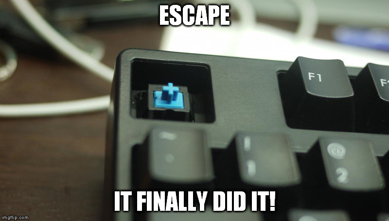 ESC has Escaped! | ESCAPE; IT FINALLY DID IT! | image tagged in escape,computer,bad pun | made w/ Imgflip meme maker
