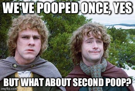Second Breakfast | WE'VE POOPED ONCE, YES; BUT WHAT ABOUT SECOND POOP? | image tagged in second breakfast | made w/ Imgflip meme maker