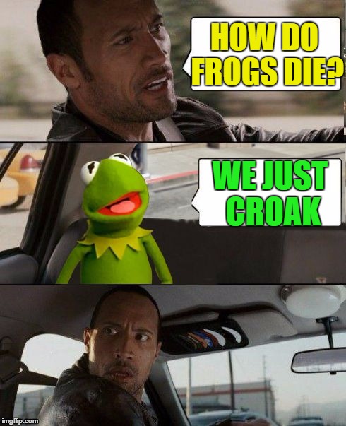 Kermit rocks | HOW DO FROGS DIE? WE JUST CROAK | image tagged in kermit rocks | made w/ Imgflip meme maker