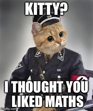 Grammar Nazi Cat | KITTY? I THOUGHT YOU LIKED MATHS | image tagged in grammar nazi cat | made w/ Imgflip meme maker