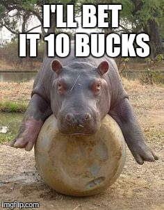 Happy hippo | I'LL BET IT 10 BUCKS | image tagged in happy hippo | made w/ Imgflip meme maker