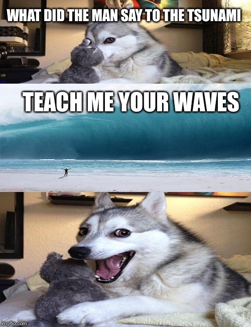 WHAT DID THE MAN SAY TO THE TSUNAMI; TEACH ME YOUR WAVES | image tagged in tsunami | made w/ Imgflip meme maker