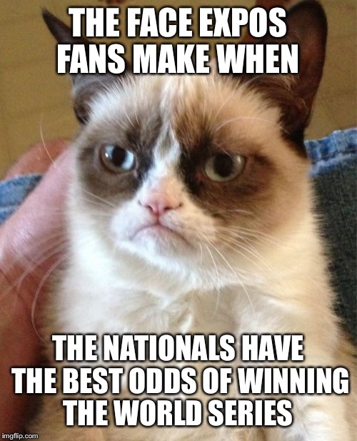 Grumpy Cat Meme | THE FACE EXPOS FANS MAKE WHEN; THE NATIONALS HAVE THE BEST ODDS OF WINNING THE WORLD SERIES | image tagged in memes,grumpy cat | made w/ Imgflip meme maker