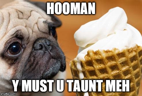 puppy luv ice cream | HOOMAN; Y MUST U TAUNT MEH | image tagged in puppy luv ice cream | made w/ Imgflip meme maker