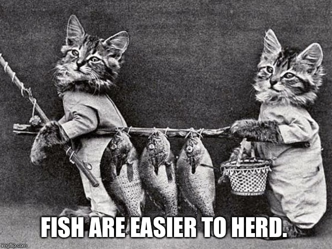 Ancient Feline Fun | FISH ARE EASIER TO HERD. | image tagged in ancient feline fun | made w/ Imgflip meme maker