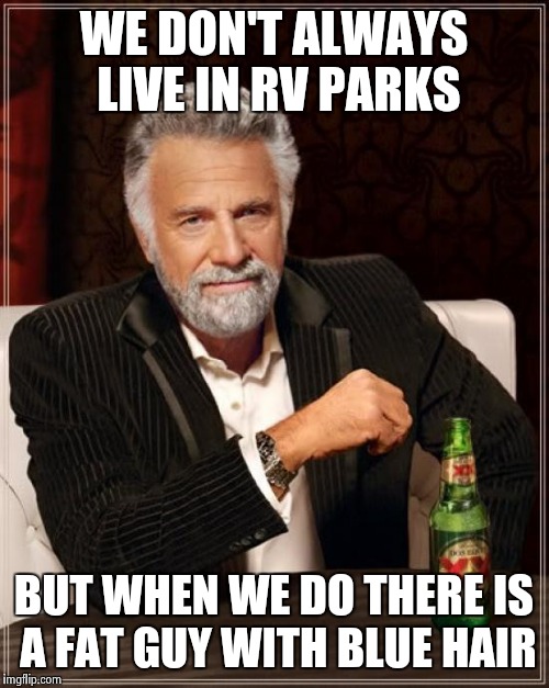 The Most Interesting Man In The World | WE DON'T ALWAYS LIVE IN RV PARKS; BUT WHEN WE DO THERE IS A FAT GUY WITH BLUE HAIR | image tagged in memes,the most interesting man in the world | made w/ Imgflip meme maker