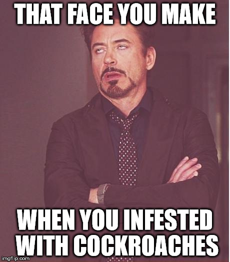 Face You Make Robert Downey Jr | THAT FACE YOU MAKE; WHEN YOU INFESTED WITH COCKROACHES | image tagged in memes,face you make robert downey jr | made w/ Imgflip meme maker