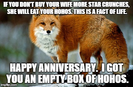 garrulous fox | IF YOU DON'T BUY YOUR WIFE MORE STAR CRUNCHES, SHE WILL EAT YOUR HOHOS. THIS IS A FACT OF LIFE. HAPPY ANNIVERSARY. 
I GOT YOU AN EMPTY BOX OF HOHOS. | image tagged in garrulous fox | made w/ Imgflip meme maker