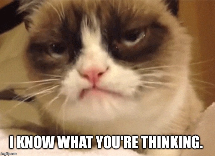DISAPPROVING GRUMPY CAT | I KNOW WHAT YOU'RE THINKING. | image tagged in disapproving grumpy cat | made w/ Imgflip meme maker