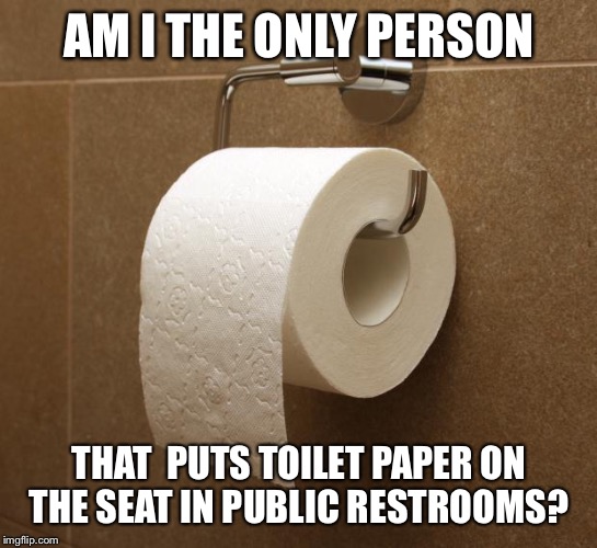 Toilet Paper | AM I THE ONLY PERSON; THAT  PUTS TOILET PAPER ON THE SEAT IN PUBLIC RESTROOMS? | image tagged in toilet paper | made w/ Imgflip meme maker