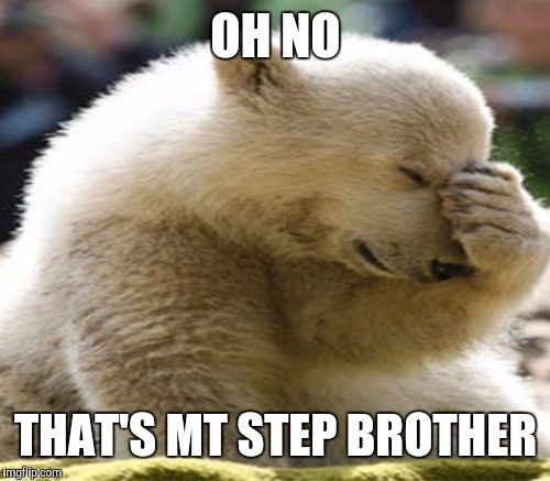 OH NO THAT'S MT STEP BROTHER | made w/ Imgflip meme maker