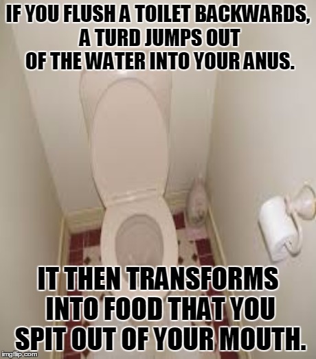 Doing things backwards, so hot right now! | IF YOU FLUSH A TOILET BACKWARDS, A TURD JUMPS OUT OF THE WATER INTO YOUR ANUS. IT THEN TRANSFORMS INTO FOOD THAT YOU SPIT OUT OF YOUR MOUTH. | image tagged in memes,funny,backwards | made w/ Imgflip meme maker