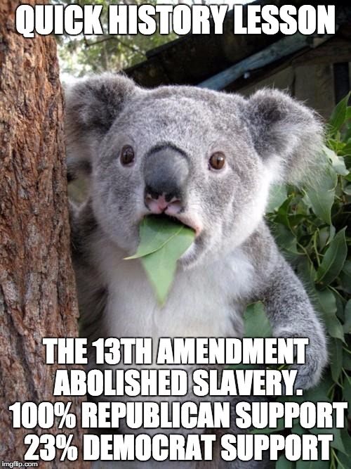 Surprised Koala |  QUICK HISTORY LESSON; THE 13TH AMENDMENT ABOLISHED SLAVERY. 100% REPUBLICAN SUPPORT 23% DEMOCRAT SUPPORT | image tagged in memes,surprised koala | made w/ Imgflip meme maker