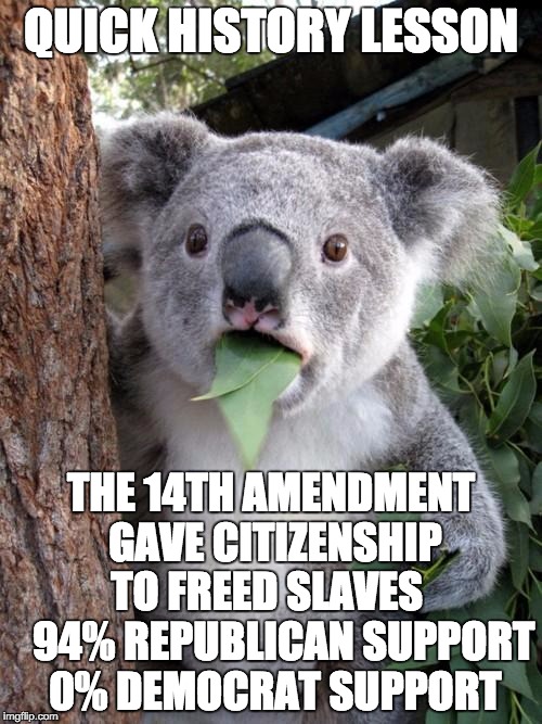 Surprised Koala |  QUICK HISTORY LESSON; THE 14TH AMENDMENT GAVE CITIZENSHIP TO FREED SLAVES     94% REPUBLICAN SUPPORT 0% DEMOCRAT SUPPORT | image tagged in memes,surprised koala | made w/ Imgflip meme maker