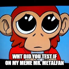 WHT DID YOU TEST IF ON MY MEME MR. METALFAN | made w/ Imgflip meme maker