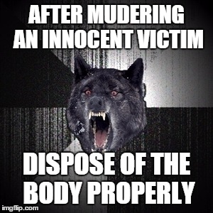 Insanity Wolf | AFTER MUDERING AN INNOCENT VICTIM; DISPOSE OF THE BODY PROPERLY | image tagged in insanity wolf | made w/ Imgflip meme maker