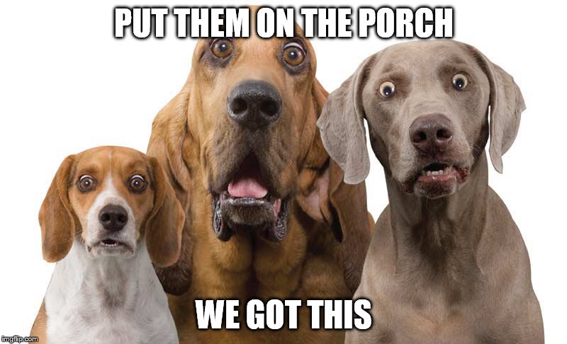 PUT THEM ON THE PORCH WE GOT THIS | made w/ Imgflip meme maker