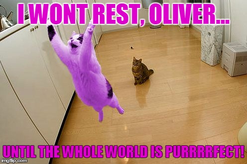 RayCat save the world | I WONT REST, OLIVER... UNTIL THE WHOLE WORLD IS PURRRRFECT! | image tagged in raycat save the world,memes | made w/ Imgflip meme maker