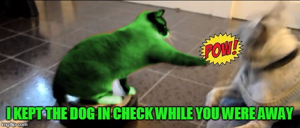 RayCat Roomba | I KEPT THE DOG IN CHECK WHILE YOU WERE AWAY | image tagged in raycat roomba | made w/ Imgflip meme maker