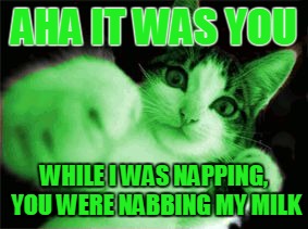RayCat Fighting Hackers | AHA IT WAS YOU WHILE I WAS NAPPING, YOU WERE NABBING MY MILK | image tagged in raycat fighting hackers | made w/ Imgflip meme maker