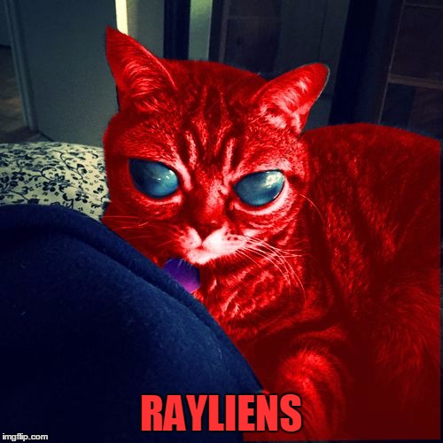 RayCat Aliens | RAYLIENS | image tagged in raycat aliens | made w/ Imgflip meme maker
