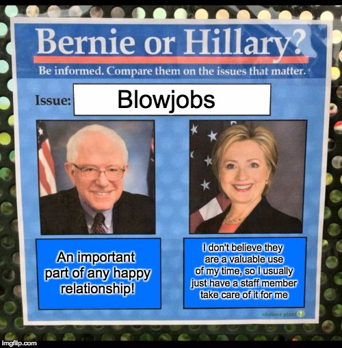 Bernie or Hillary? | Blowjobs; I don't believe they are a valuable use of my time, so I usually just have a staff member take care of it for me; An important part of any happy relationship! | image tagged in bernie or hillary | made w/ Imgflip meme maker