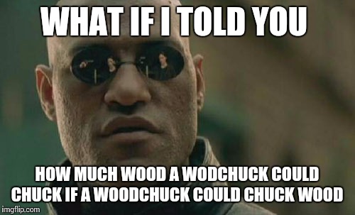 Matrix Morpheus Meme | WHAT IF I TOLD YOU; HOW MUCH WOOD A WODCHUCK COULD CHUCK IF A WOODCHUCK COULD CHUCK WOOD | image tagged in memes,matrix morpheus | made w/ Imgflip meme maker