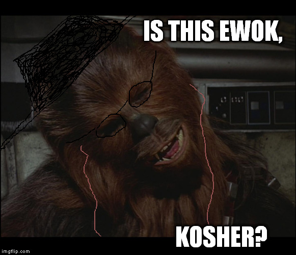 Star Wars Chewie Nigga is you crazy | IS THIS EWOK, KOSHER? | image tagged in star wars chewie nigga is you crazy | made w/ Imgflip meme maker