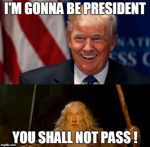 No you're not tee hee hee.... | I'M GONNA BE PRESIDENT; YOU SHALL NOT PASS ! | image tagged in donald trump,gandalf you shall not pass,election 2016 | made w/ Imgflip meme maker