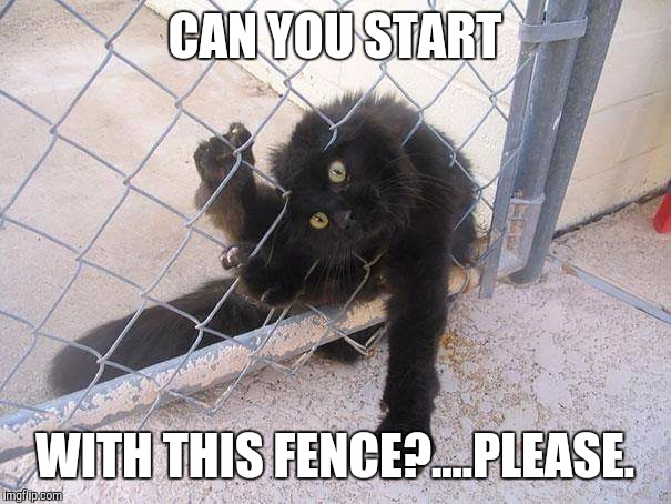 CAN YOU START WITH THIS FENCE?....PLEASE. | made w/ Imgflip meme maker