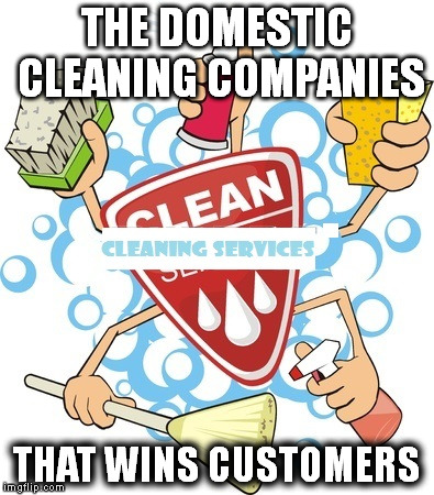 Successful Stories You Didn’t Know About domestic cleaning companies That Wins Customers | THE DOMESTIC CLEANING COMPANIES; THAT WINS CUSTOMERS | image tagged in successful stories you didnt know about domestic cleaning compa,domestic cleaning companies in perth,cleaning services perth,cle | made w/ Imgflip meme maker
