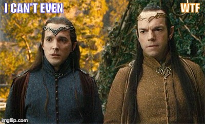 Dwarves Skinny Dipping | WTF; I CAN'T EVEN | image tagged in elrond and lindir,elrondir | made w/ Imgflip meme maker