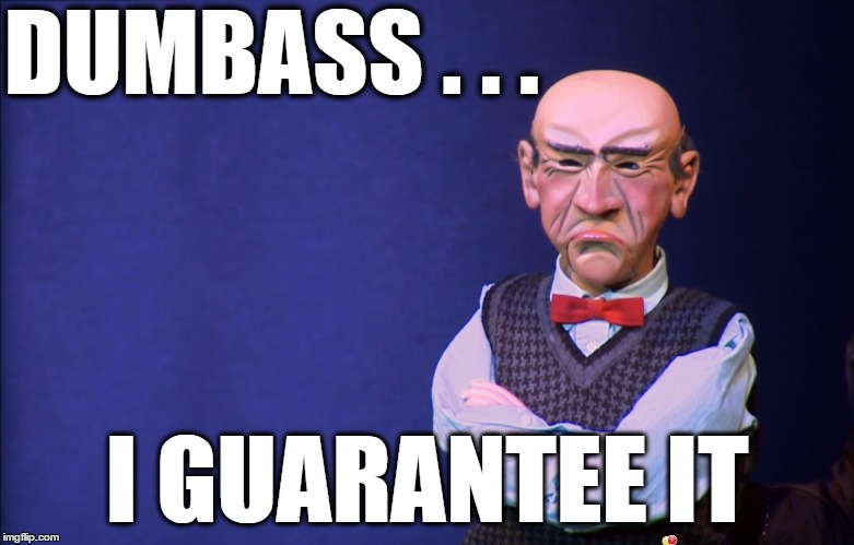 Walter | DUMBASS . . . I GUARANTEE IT | image tagged in walter | made w/ Imgflip meme maker