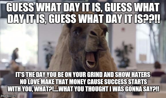 Hump Day Camel | GUESS WHAT DAY IT IS, GUESS WHAT DAY IT IS, GUESS WHAT DAY IT IS??!! IT'S THE DAY YOU BE ON YOUR GRIND AND SHOW HATERS NO LOVE MAKE THAT MONEY CAUSE SUCCESS STARTS WITH YOU, WHAT?!....WHAT YOU THOUGHT I WAS GONNA SAY?!! | image tagged in hump day camel | made w/ Imgflip meme maker