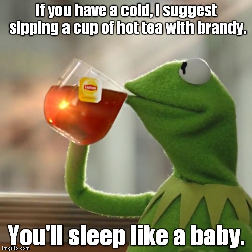 But That's None Of My Business | If you have a cold, I suggest sipping a cup of hot tea with brandy. You'll sleep like a baby. | image tagged in memes,but thats none of my business,kermit the frog | made w/ Imgflip meme maker
