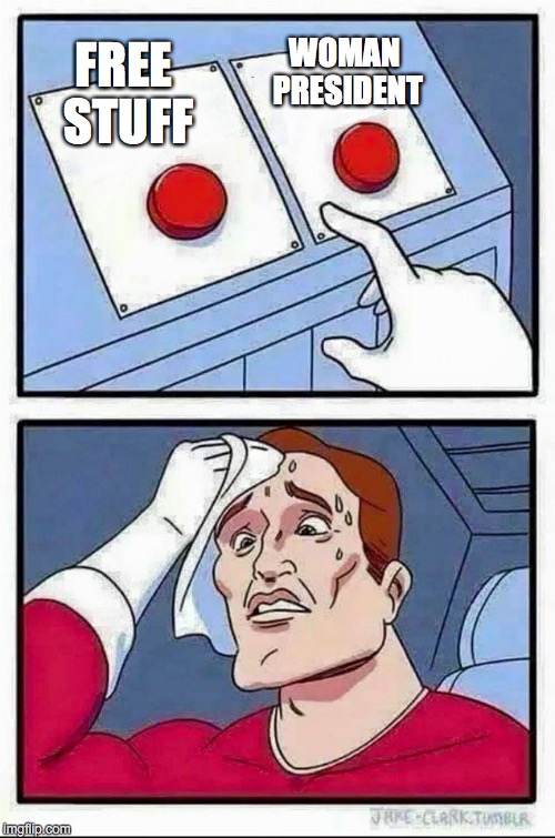 Two Buttons Meme | WOMAN PRESIDENT; FREE STUFF | image tagged in hard choice to make | made w/ Imgflip meme maker