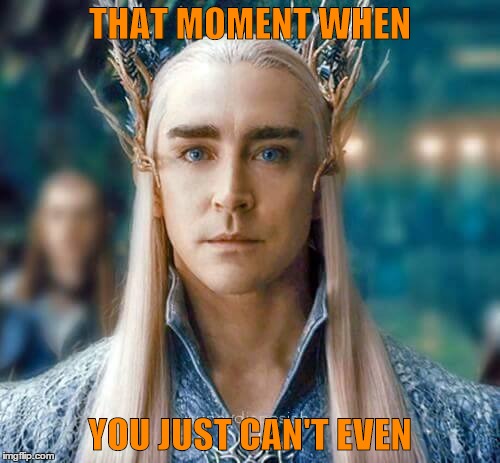 Just Can't | THAT MOMENT WHEN; YOU JUST CAN'T EVEN | image tagged in thranduil,thranduil meme | made w/ Imgflip meme maker