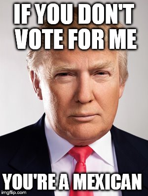 Donald Trump |  IF YOU DON'T VOTE FOR ME; YOU'RE A MEXICAN | image tagged in donald trump | made w/ Imgflip meme maker