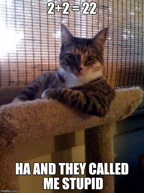 The Most Interesting Cat In The World Meme | 2+2 = 22; HA AND THEY CALLED ME STUPID | image tagged in memes,the most interesting cat in the world | made w/ Imgflip meme maker